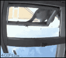 Outro Gato ninja se aventurando em uma janela