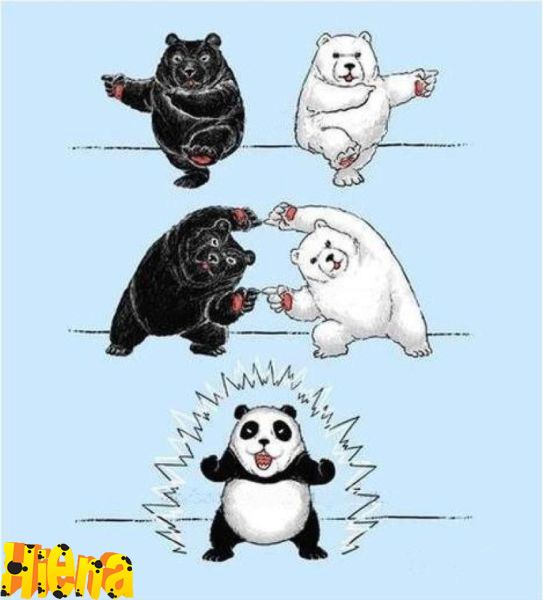 formação dos pandas atraves da dança de fusao de um urso branco e um urso negro